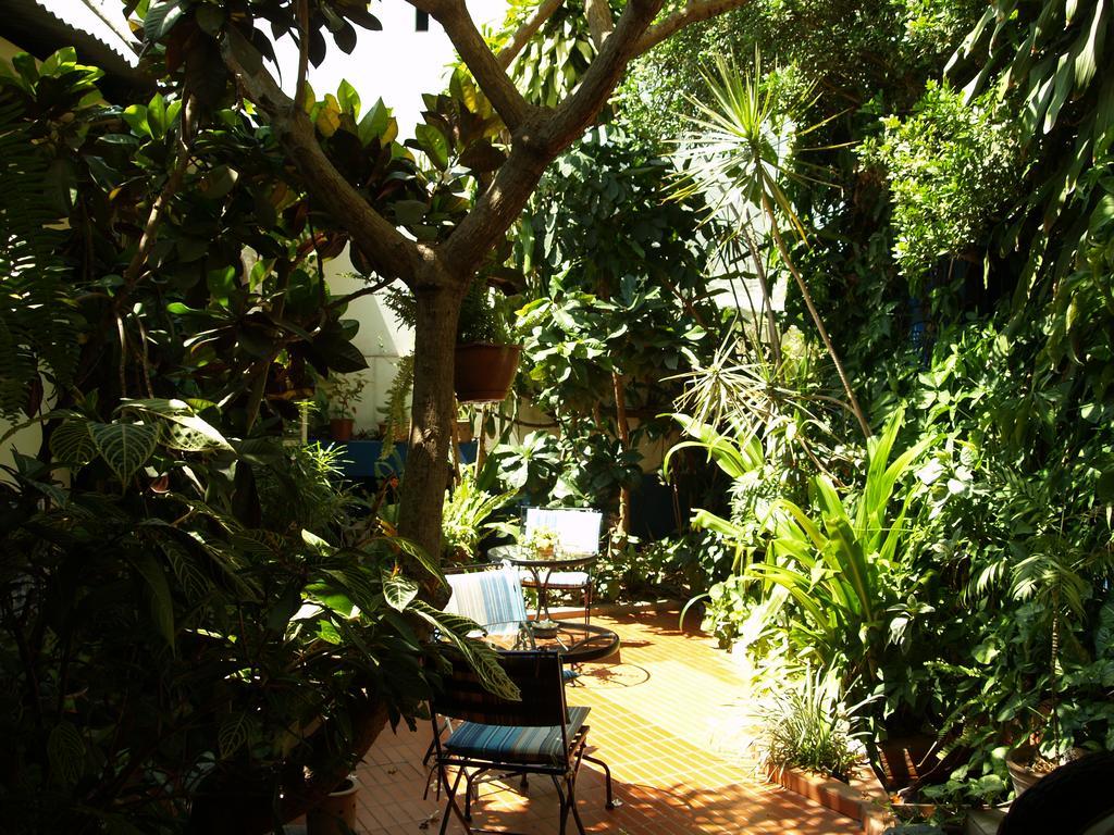 Palmeiras Guest House Maputo Zewnętrze zdjęcie